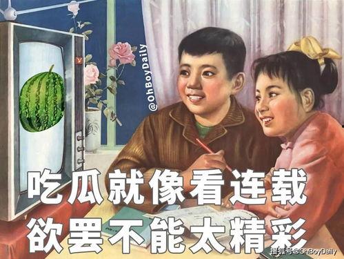 娱乐圈大型吃瓜人小说